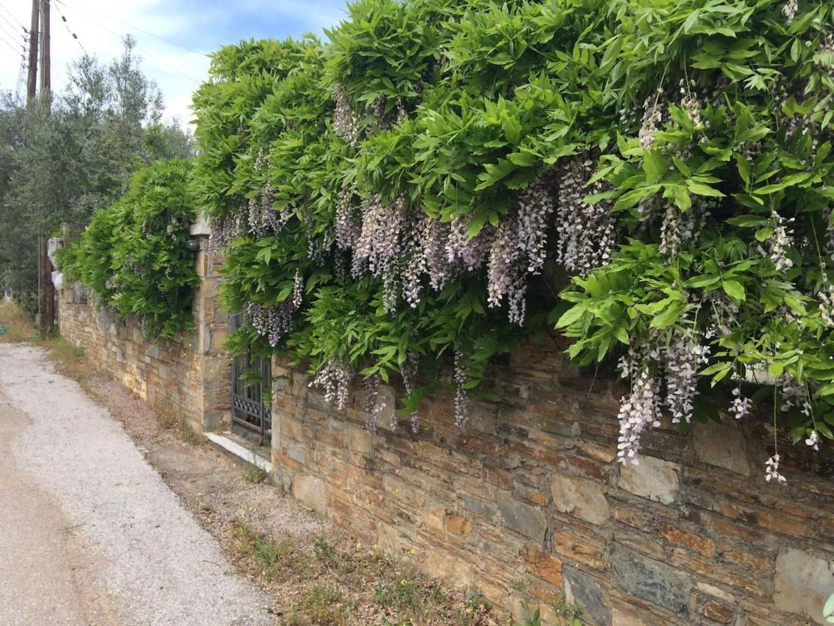 Villa Liana Sourpi Exteriör bild